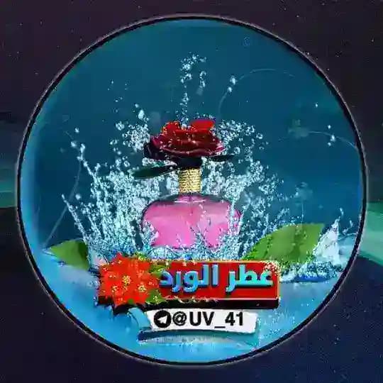 عطر الورد ♡゙ Profile