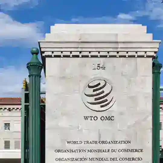 UWED WTO CHAIR