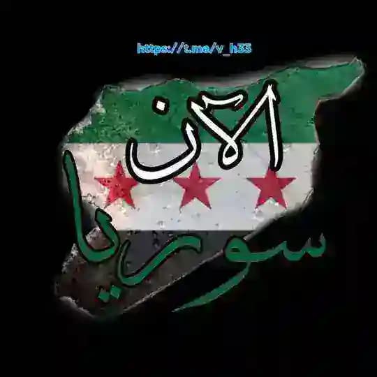 أخبار غزة الآن وفلسطين