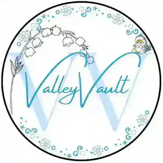 valley vault ⋆⋆.ೃ࿔*