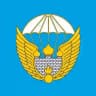 106 гвардейская дивизия ВДВ Тула