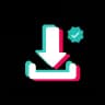 Video Downloader | Twitter TikTok