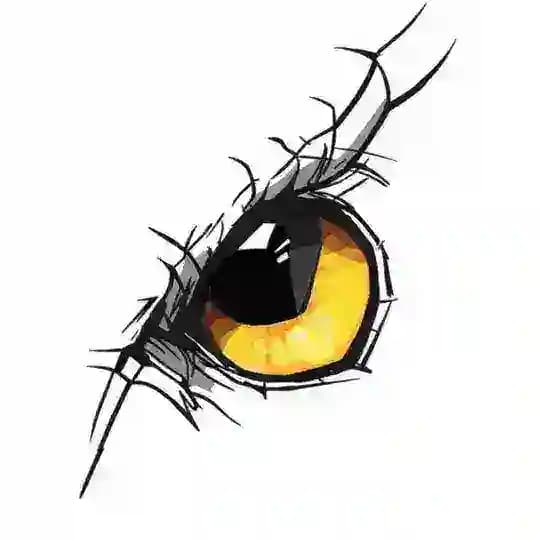 Vision