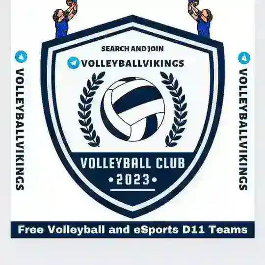 Volleyball Vikings | eSports Enthusiasts || Volleyball Teams || eSports Teams || Free volleyball eSports teams