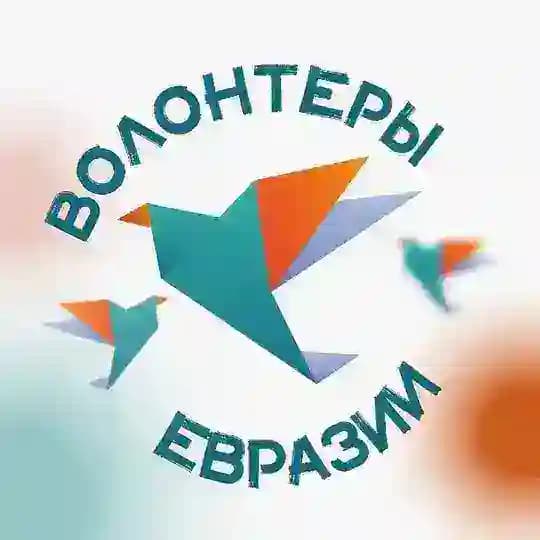 Волонтёры Евразии