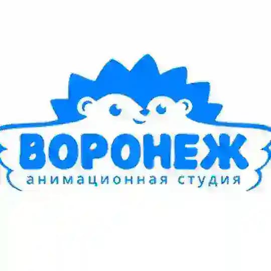 ВОРОНЕЖ. Анимационная студия