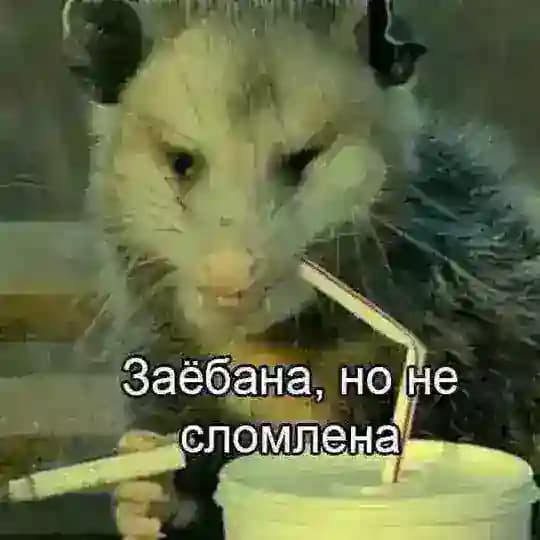 vrntsv’mood