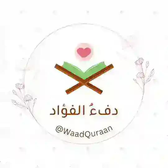دِفءُ الفُؤاد💗🌿. Profile