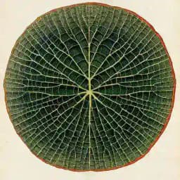 WANDELZEIT🕊 Profile