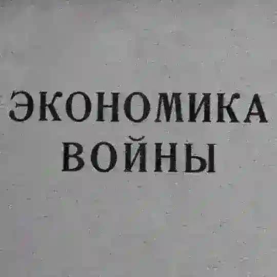 Мобилизационная экономика