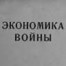 Мобилизационная экономика
