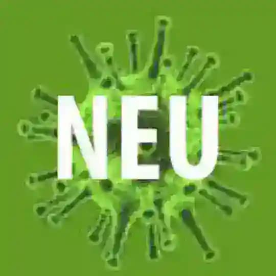 WAS WIRKLICH IST - ENDE DER TÄUSCHUNG Profile