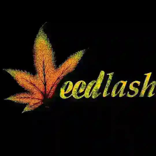 ویدلش | weedlashya
