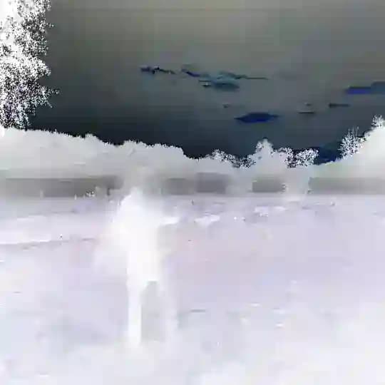 вейсивил