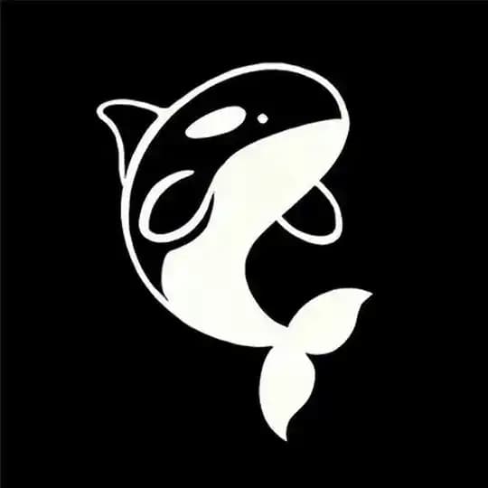 Whale Dash Announcement