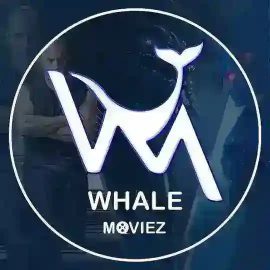 فیلم و سریال | وال موویز