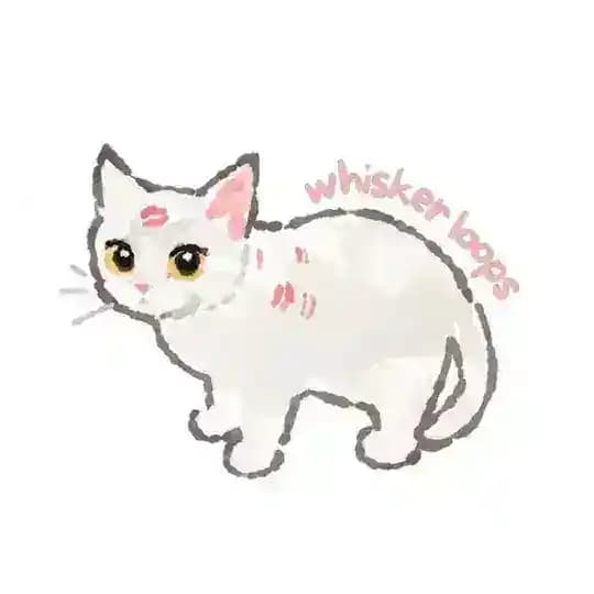 whisker loops