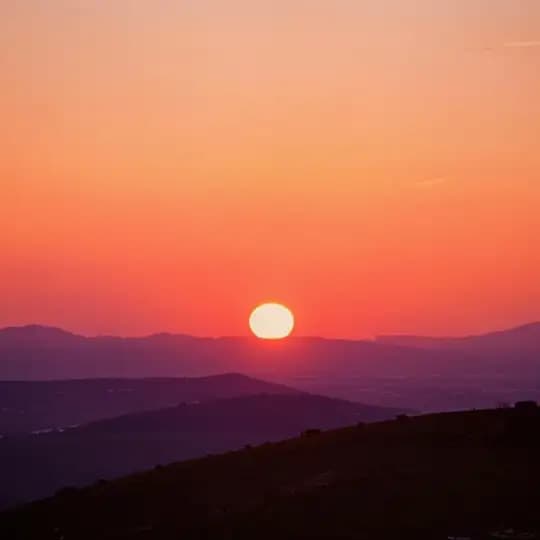 Wild horizons