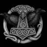 ᛉ Nordic paganism ᛉ