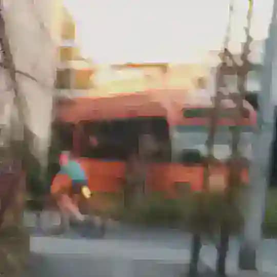 Свидетели троллейбусного депо