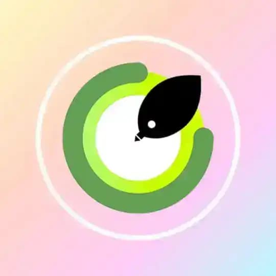 私密树洞