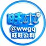 旺旺担保 项目公群 @wwgq