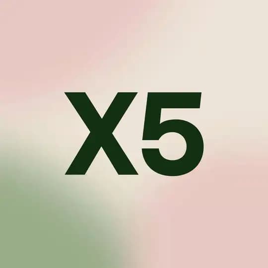 Просто X5
