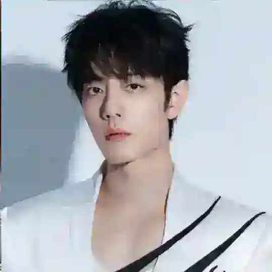 Xiao Zhan Link Channel Profile