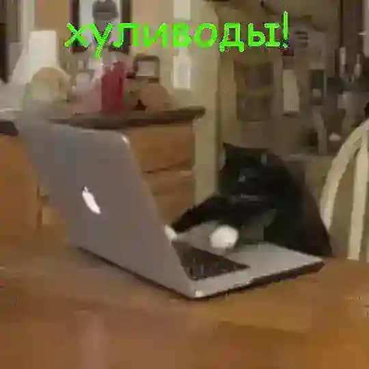 хуливоды! (хулиганские переводы)