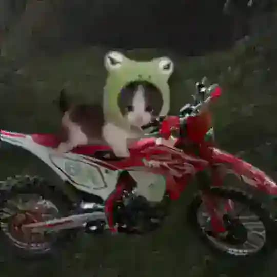 Время приключений