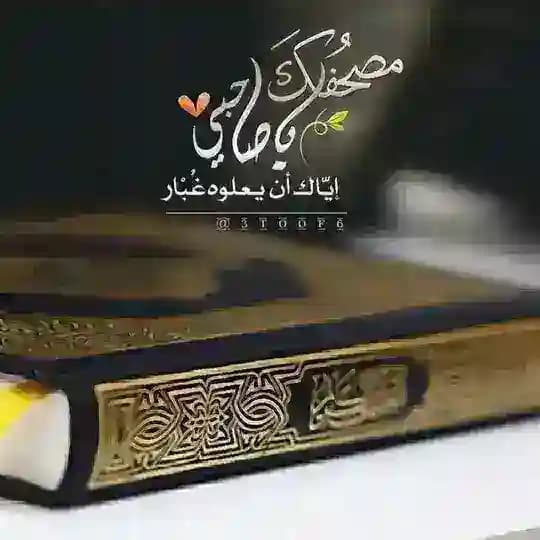 ياسر سلامة