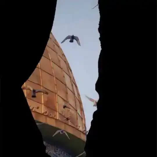 Цаевзарг