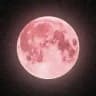 your moonlis🌕/оформление телефона и обои