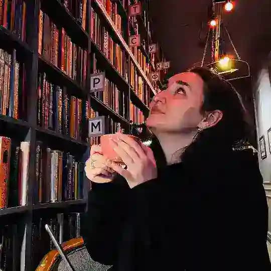 ежик в книжном тумане