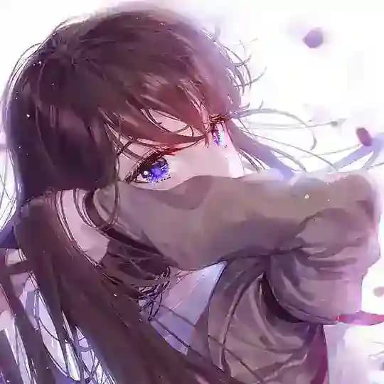 雨夜文件下载区
