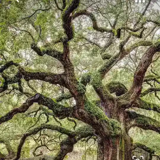 Zagoguleolog