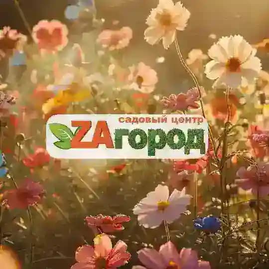 Zaгород 🌿 Уссурийск