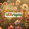 Zaгород 🌿 Уссурийск