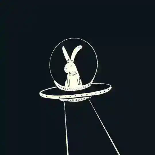 ЗАЙКА Space