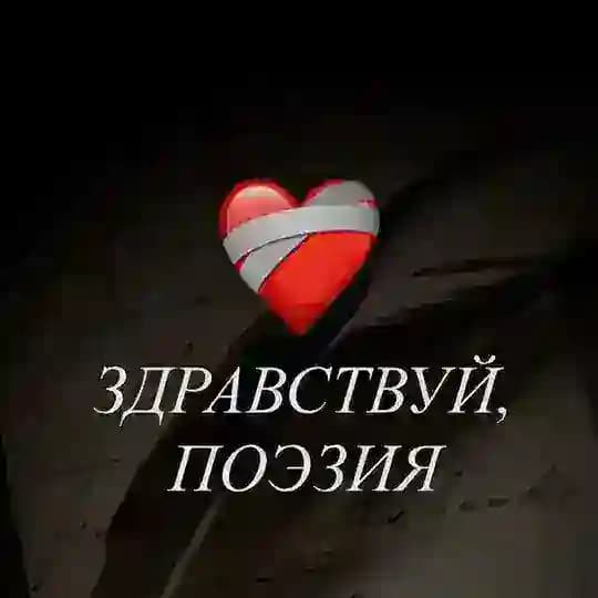 здравствуй, поэзия
