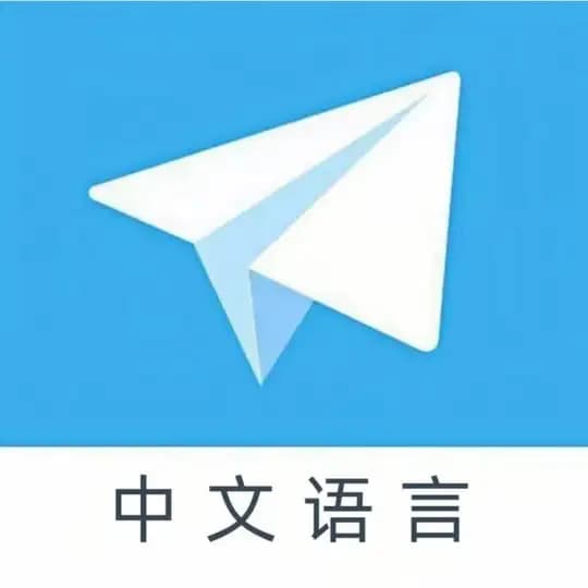 zh_CN 简体中文 中文汉化 中文包 Profile