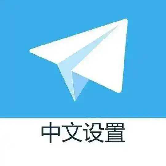 zh_cn|中文设置|中文翻译|中文语言