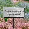 Девы, это знак