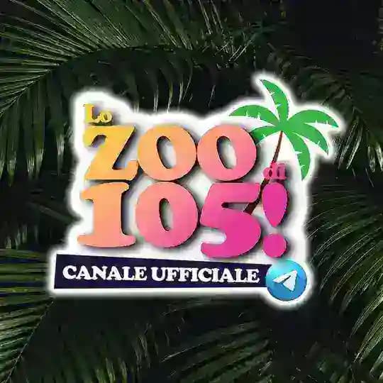 L'isola dello Zoo 🏝 CANALE UFFICIALE