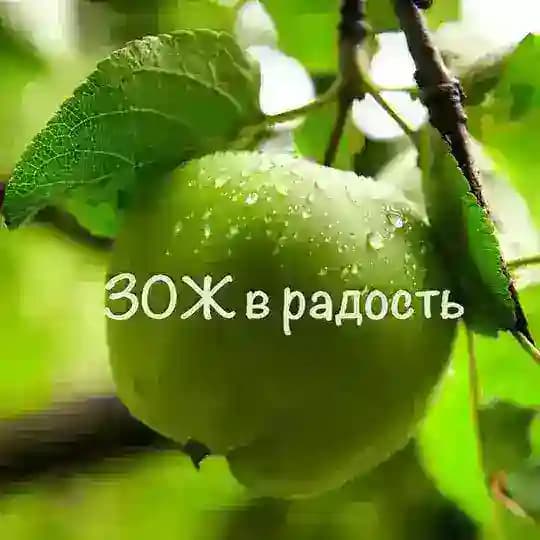 🍏ЗОЖ в радость🌼