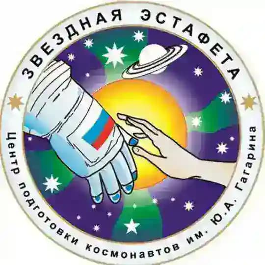 Звёздная эстафета 2026 Profile