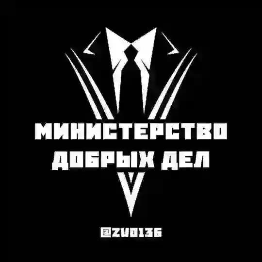 Министерство добрых дел (Воронеж-Белгород-Курск) #zvo
