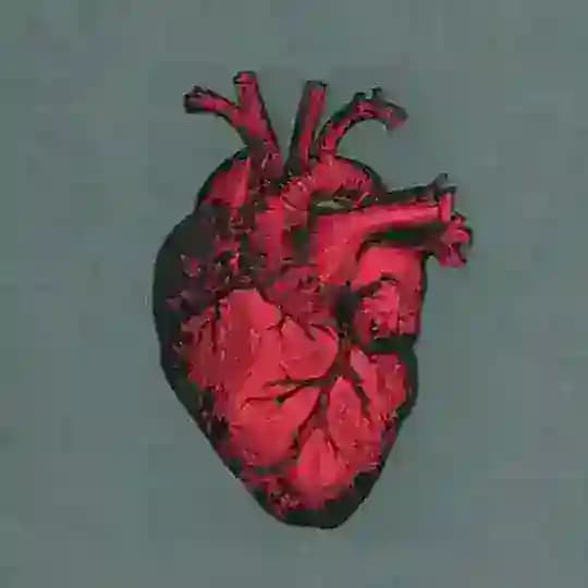 Heart