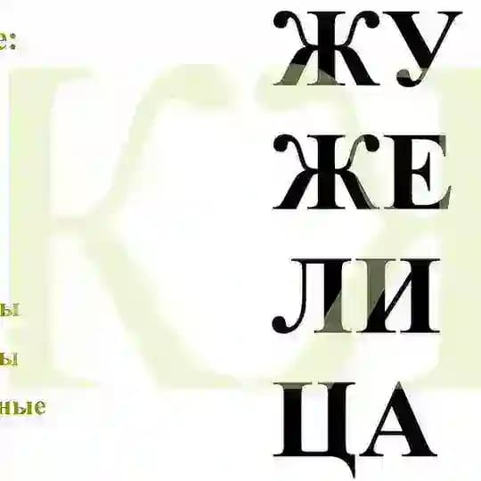 ЖУЖЕЛИЦА