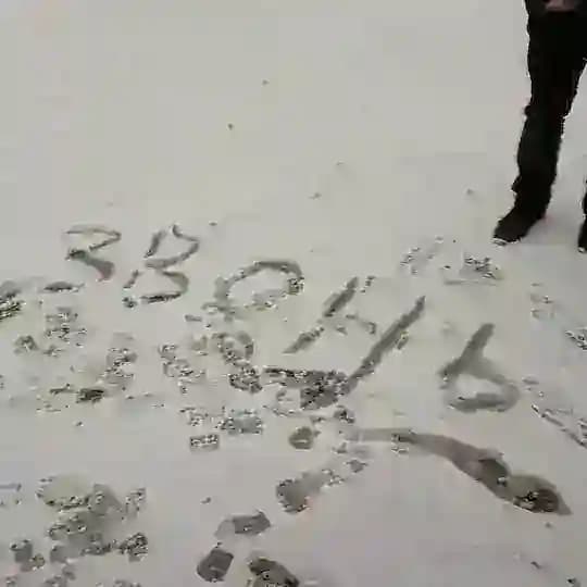 ЗВОНЬ